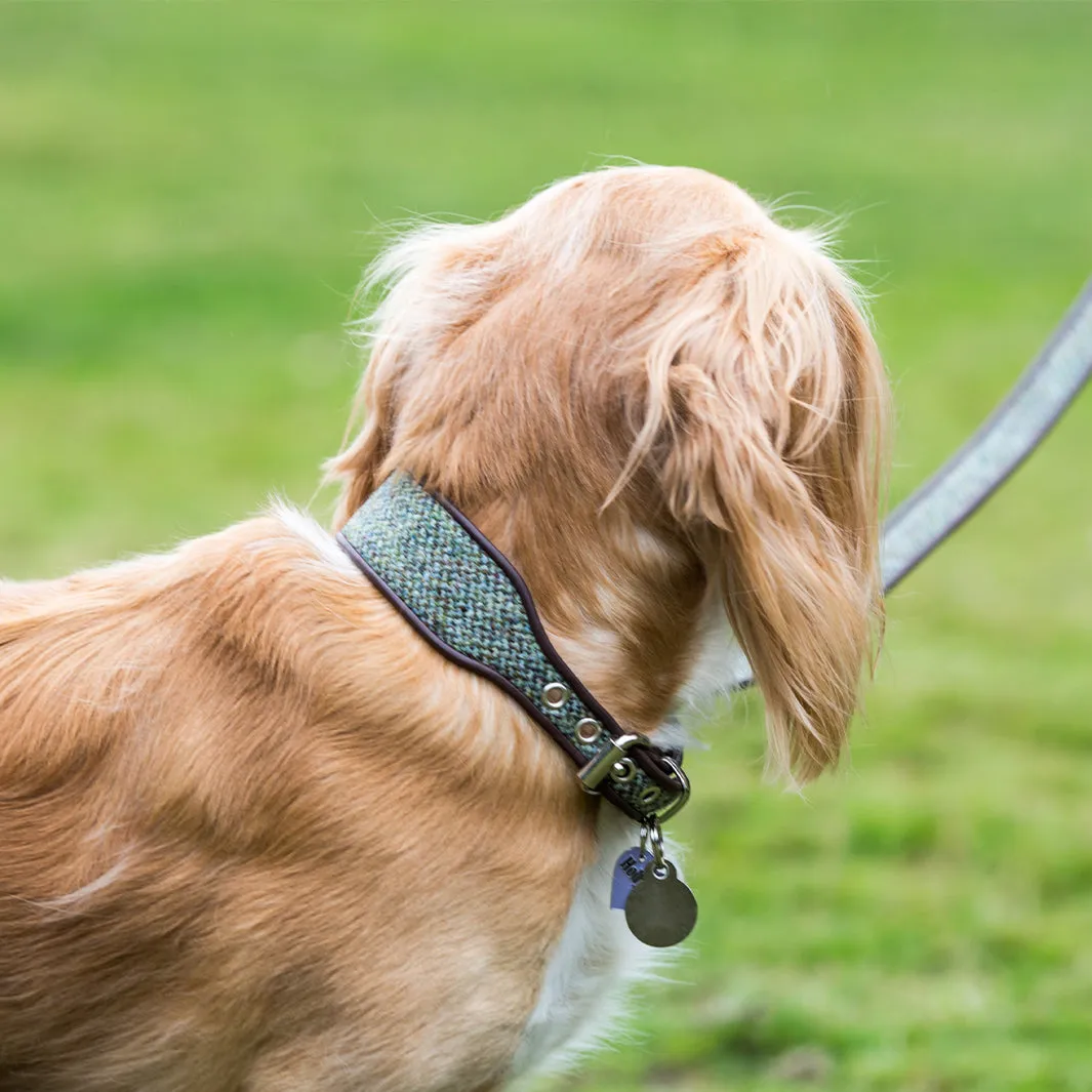 Harris Tweed Classic Wide Dog Collar by Holly&Lil