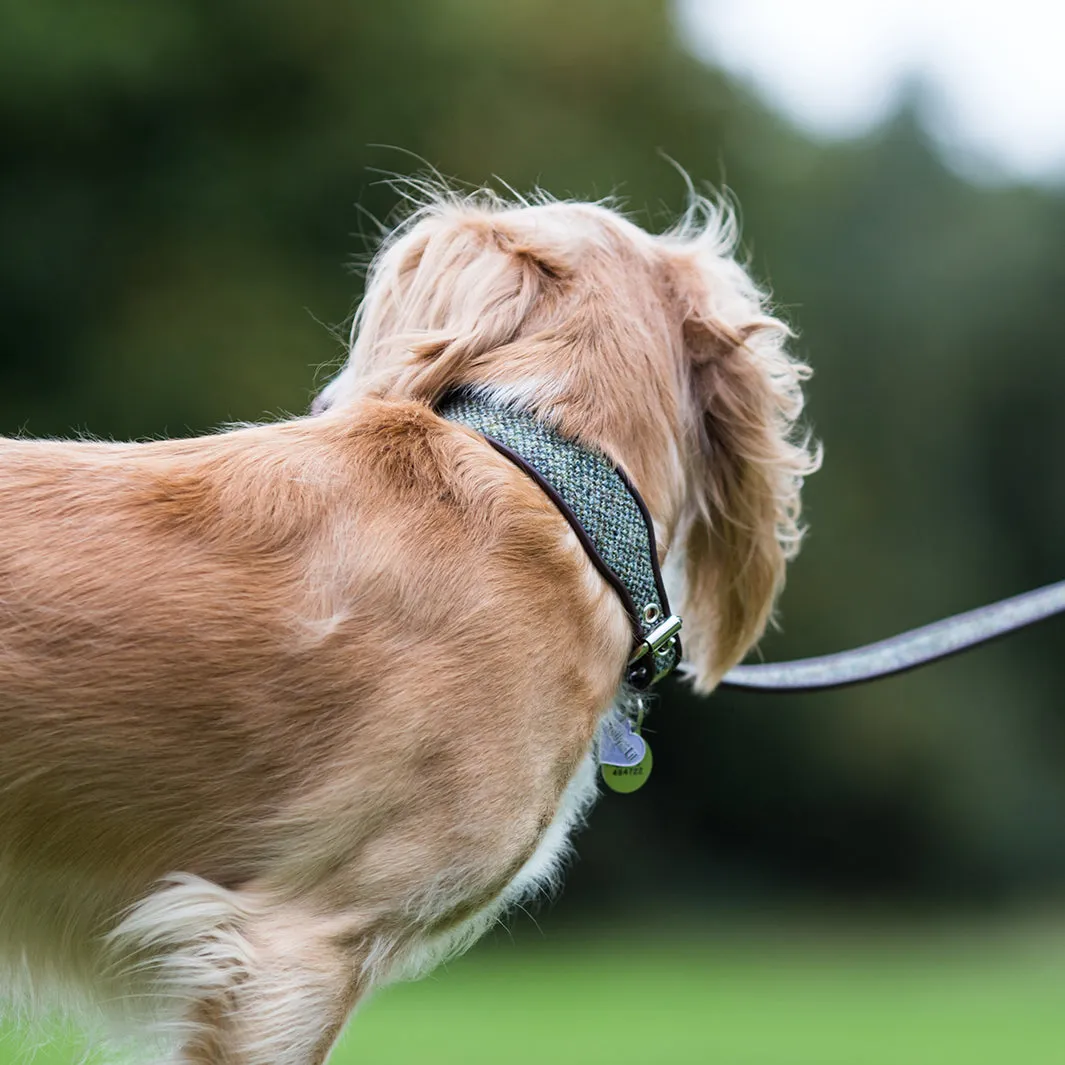 Harris Tweed Classic Wide Dog Collar by Holly&Lil