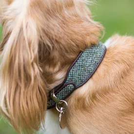 Harris Tweed Classic Wide Dog Collar by Holly&Lil