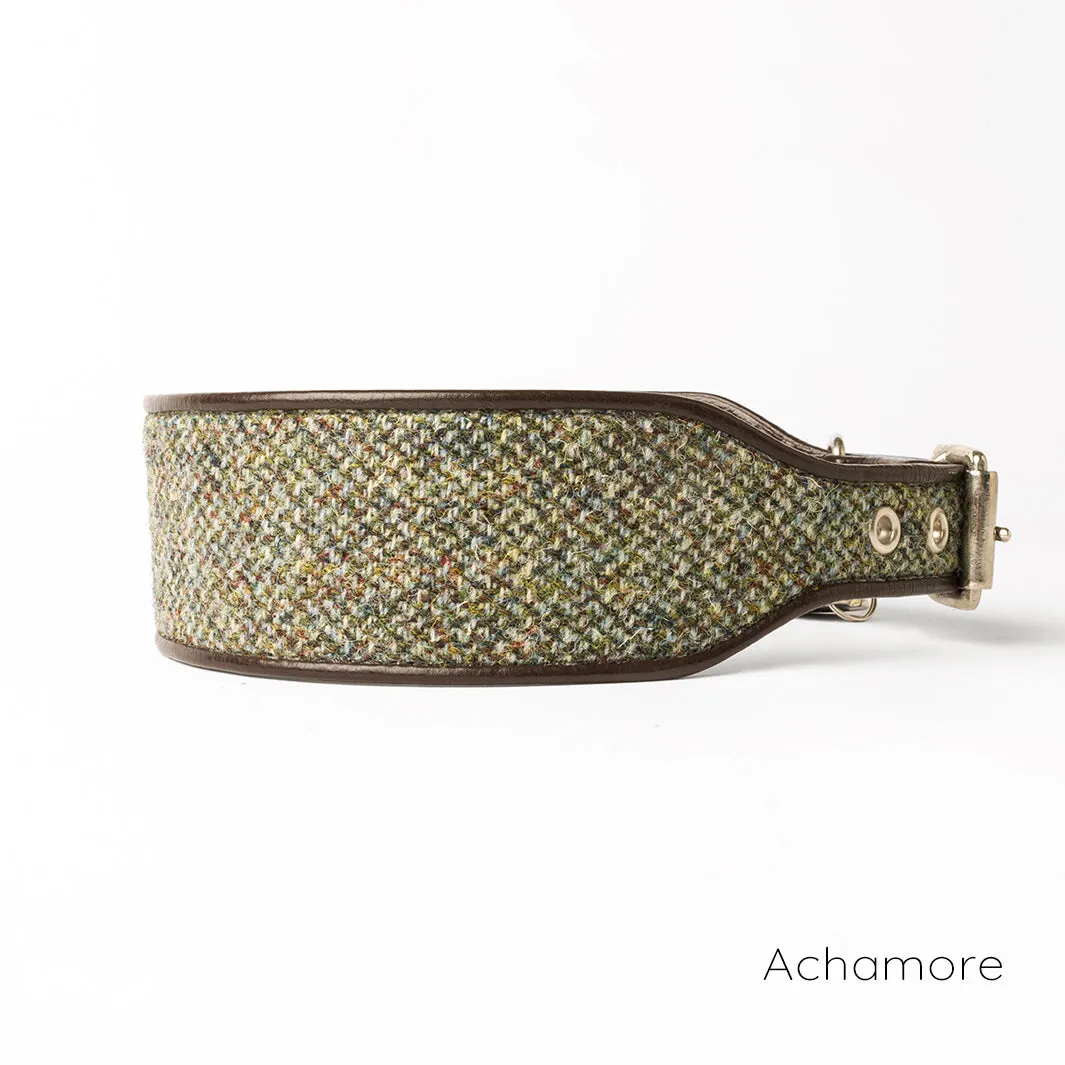 Harris Tweed Sighthound Collar by Holly&Lil