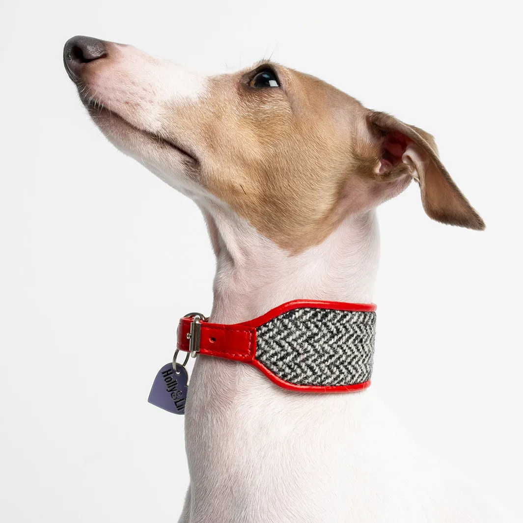 Harris Tweed Sighthound Collar by Holly&Lil